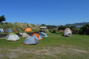 eine Gruppe von Zelten im Gras in der Unterkunft Dunedin Holiday Park in Dunedin
