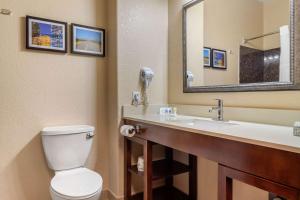 Koupelna v ubytování Comfort Suites Baytown I - 10