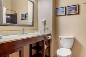 Koupelna v ubytování Comfort Suites Baytown I - 10