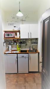 Kuchnia lub aneks kuchenny w obiekcie City-Apartments Langegger