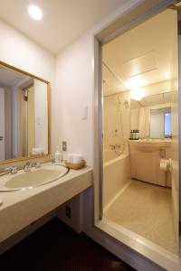 a bathroom with a sink and a large mirror at Hotel Concorde Hamamatsu in Hamamatsu