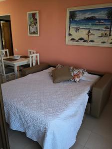 Postel nebo postele na pokoji v ubytování Apartamento Bella Lucia