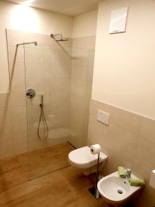 een badkamer met een douche, een toilet en een wastafel bij Versigglhof in Appiano sulla Strada del Vino