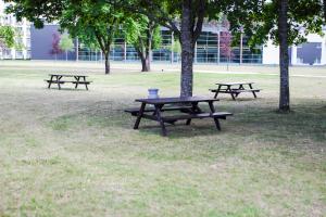 
a park bench in the middle of a grassy field at Medical SPA "Eglės sanatorija" Standard Druskininkai in Druskininkai
