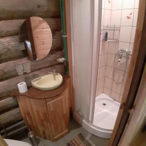 La salle de bains est pourvue d'un lavabo, de toilettes et d'un miroir. dans l'établissement ŠMITI, à (( Čūskumuiža ))