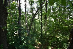 Paesaggio naturale nelle vicinanze dell'affittacamere