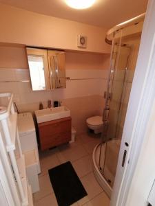 uma casa de banho com um chuveiro, um lavatório e um WC. em VILLA POP Apartments Crveni Vrh em Crveni Vrh