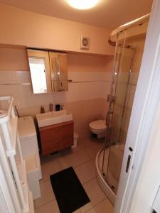 a bathroom with a shower and a sink and a toilet at VILLA POP Apartments Crveni Vrh in Crveni Vrh