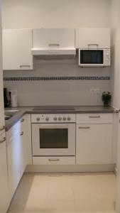 Il comprend une cuisine blanche équipée d'une cuisinière et d'un four micro-ondes. dans l'établissement Appartements CHE, à Vienne