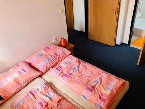 Postel nebo postele na pokoji v ubytování Penzion horská chata Světlá