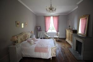 ein Schlafzimmer mit einem großen Bett und einem Kamin in der Unterkunft Bed & Breakfast au Château de Martinsart in Mesnil-Martinsart