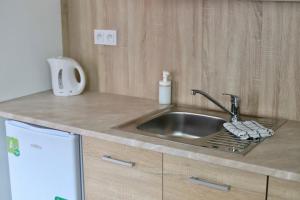 a kitchen with a sink and a counter top at Apartments U Flóry in Olomouc