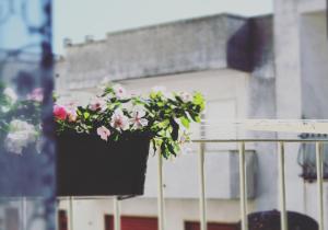 Balkón nebo terasa v ubytování Casa Nina