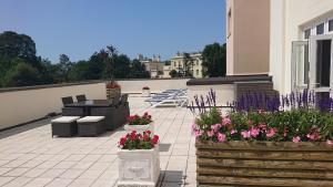 - un patio avec des fleurs en pots dans un bâtiment dans l'établissement The Norfolk Lodge Hotel, à Saint-Hélier