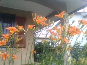 A garden outside Le Magnolie B&B