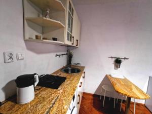 Kuchnia lub aneks kuchenny w obiekcie Krakow Centrum Gurgacza Apartments