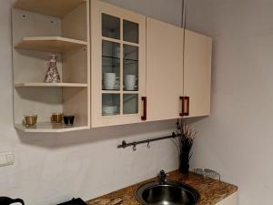 Kuchnia lub aneks kuchenny w obiekcie Krakow Centrum Gurgacza Apartments