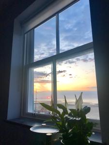 a window with a view of the ocean and a plant at The Sunset Apartment - Margate Beach - By Goldex Coastal Breaks in Margate