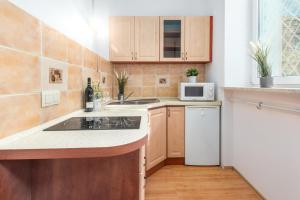 Kuchnia lub aneks kuchenny w obiekcie Apartments Wilcza 55 by Noclegi Renters
