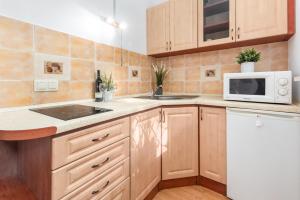 kuchnia ze zlewem i mikrofalówką w obiekcie Apartments Wilcza 55 by Noclegi Renters w Warszawie