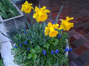 A garden outside Le Magnolie B&B