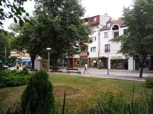 un parco con panchine e una persona che cammina per la strada di Hacijenda a Bajina Bašta