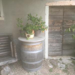 un baril avec des plantes en pot au-dessus de celui-ci dans l'établissement B&b Corte Giare, à SantʼAmbrogio di Valpolicella