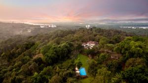 Vue aérienne d'une maison au milieu d'une forêt dans l'établissement The Postcard Velha, Goa, à Vieux-Goa