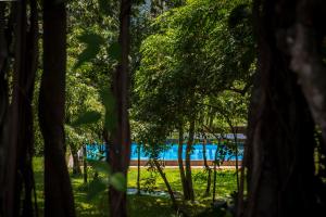 The Postcard Velha, Goa内部或周边的泳池