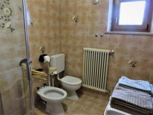 La salle de bains est pourvue de toilettes et d'une douche à l'italienne. dans l'établissement LA CESURA, à Carano