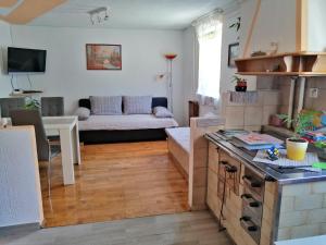 eine Küche und ein Wohnzimmer mit einem Sofa und einem Tisch in der Unterkunft Apartmaji Iris Kobarid in Kobarid