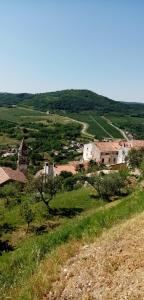 a view of a small village in a field at Rooms Serafin-Lavanda in Motovun