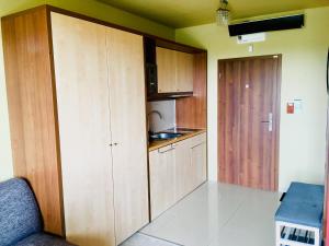 美國魯穆尼卡的住宿－Apartman I104 Velka Lomnica Golf Resort，一个带木制橱柜和水槽的小厨房