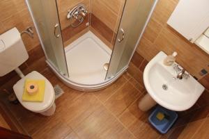 a bathroom with a shower and a toilet and a sink at Apartments Bordo in Tivat