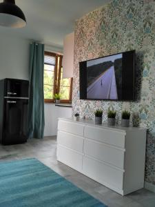 un soggiorno con TV a schermo piatto a parete di Apartament Kopa a Karpacz