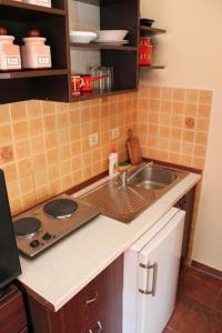 A kitchen or kitchenette at Apartments Bordo