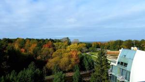 Afbeelding uit fotogalerij van Vila Viola in Palanga