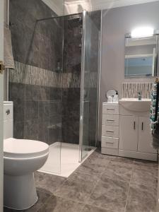 a bathroom with a shower and a toilet and a sink at Honeysuckle Homestead in Dinton