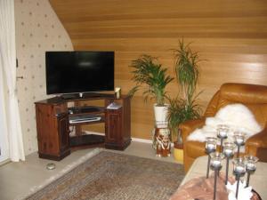 a living room with a flat screen tv on a table at Ferienwohnung Flegessen Weserbergland in Bad Münder am Deister
