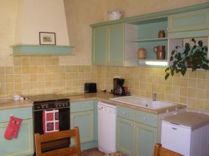 a kitchen with green cabinets and a stove and a sink at Gîte des Hortillonnages in Camon