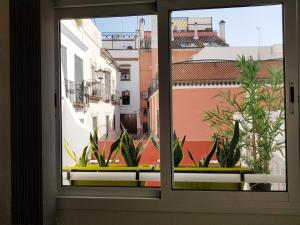 a window with a view of a balcony with plants at Lolita's house Alhambra in Seville