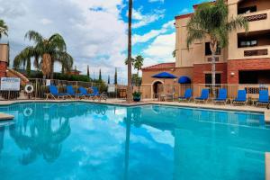 une piscine avec des chaises bleues et des palmiers dans l'établissement Hilton Vacation Club Varsity Club Tucson, à Tucson