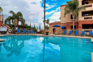 Hilton Vacation Club Varsity Club Tucson في توسان: وجود مسبح في الفندق والكراسي الزرقاء والنخيل