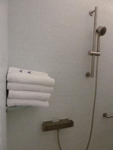 Vannituba majutusasutuses B&B Zinnen en Minnen