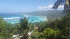 a view of the ocean and a beach with palm trees at Anse Royale Bay View Apartments in Mahe