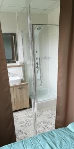 ein Bad mit einer Dusche und einem Waschbecken in der Unterkunft Centrum Apartmán Armida in Bardejov