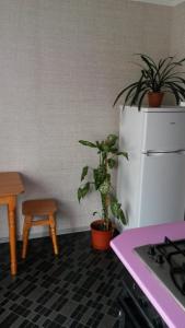 a kitchen with potted plants and a white refrigerator at Apart Gagarina in Kropyvnytskyi