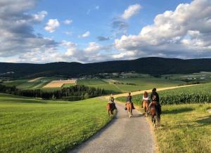 Zdjęcie z galerii obiektu Appartmenthaus Kern w mieście Aigen im Mühlkreis