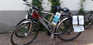 Vožnja bicikla kod ili u okolini objekta Ferienapartment-Monteurwohnung-Muldestausee