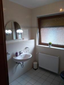 Hartenholm的住宿－Pension Holmer Moorhof，一间带水槽和镜子的浴室